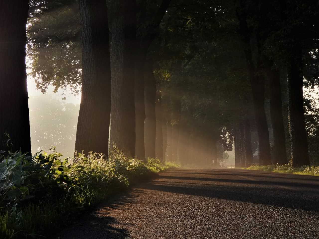 pixabay.com