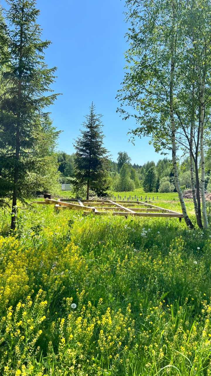 Фото Дарьи Елисеевой